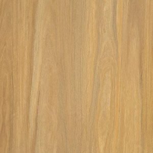Weathered Spotted Gum
