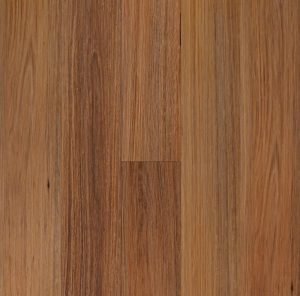 Native Blackbutt