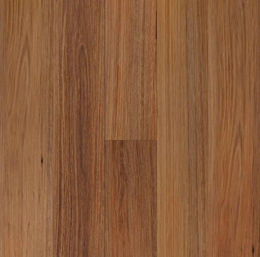 Native Blackbutt