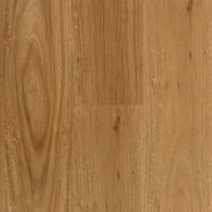 Coastal Blackbutt Aspire