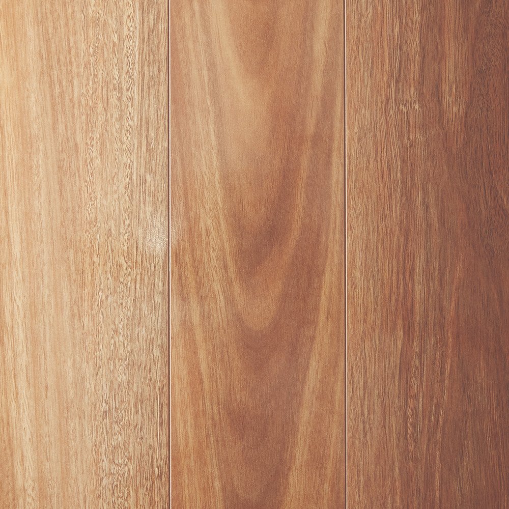 Mountain Spotted Gum