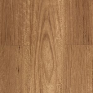 New-England-Blackbutt