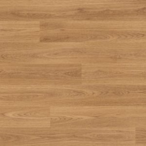 European Oak