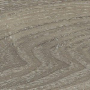 Light Elm