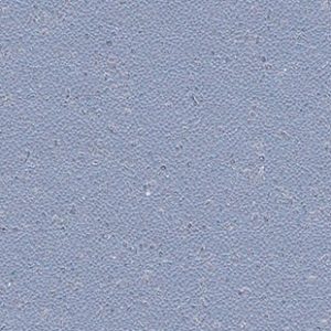 Pacific Blue