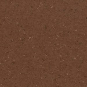 Rich Chocolate