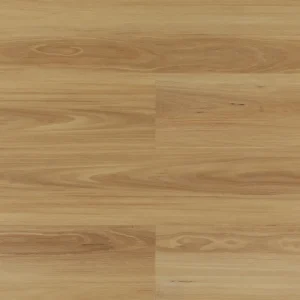 BlackButt