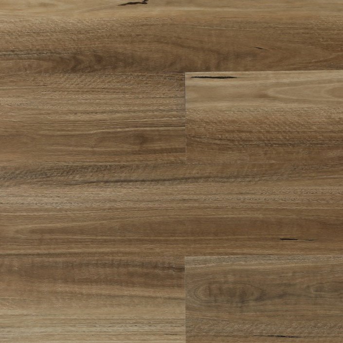 Spotted Gum