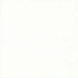 Dove White