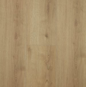 Oak Adaja
