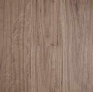 Blackbutt