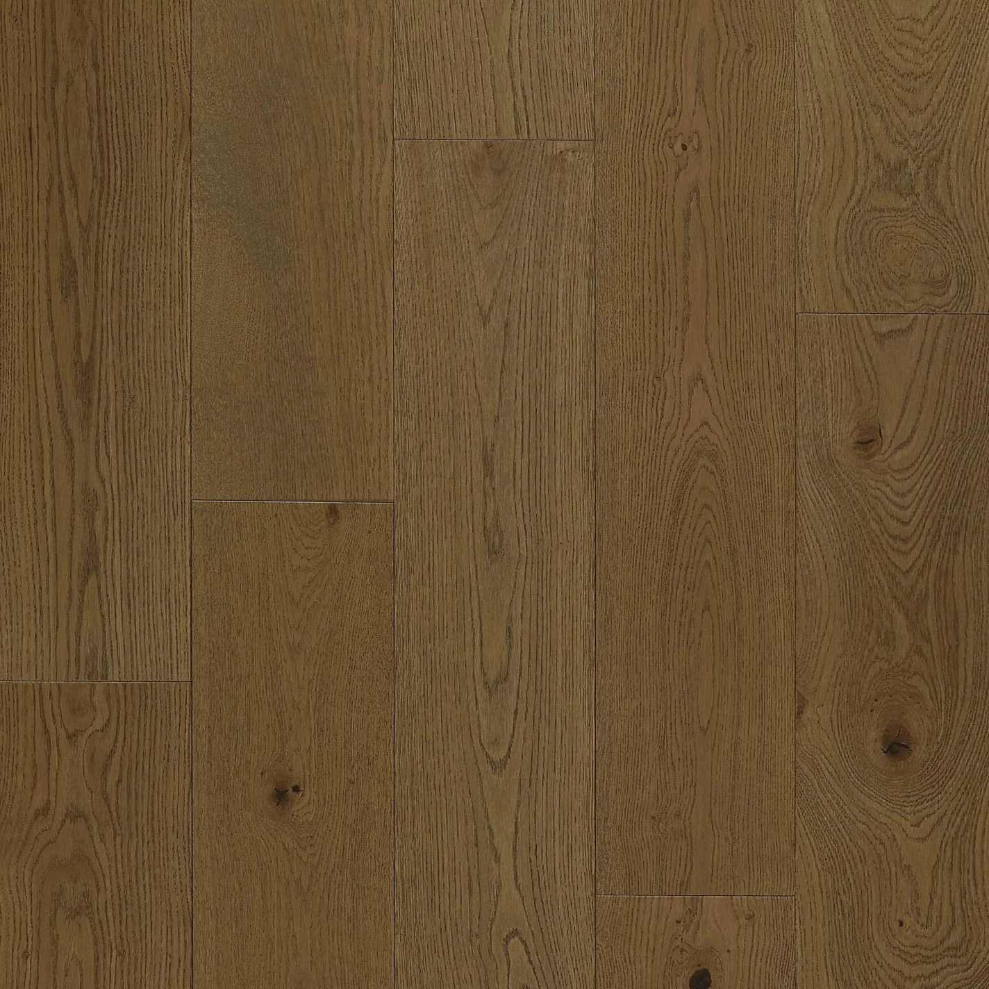 Brown Oak
