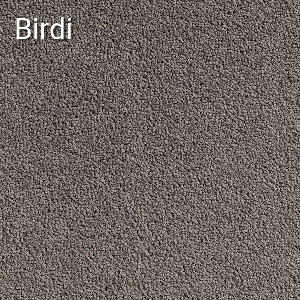 Birdi