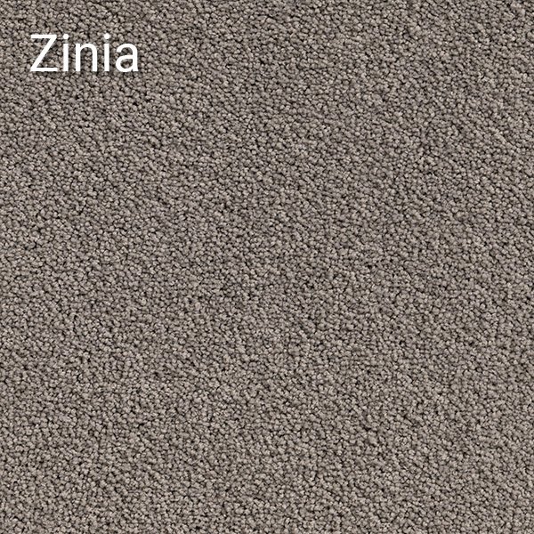 Zinia
