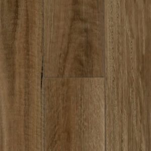 NSW Spotted Gum