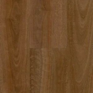 Spotted Gum
