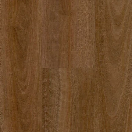 Spotted Gum