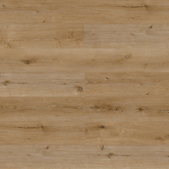 European Oak