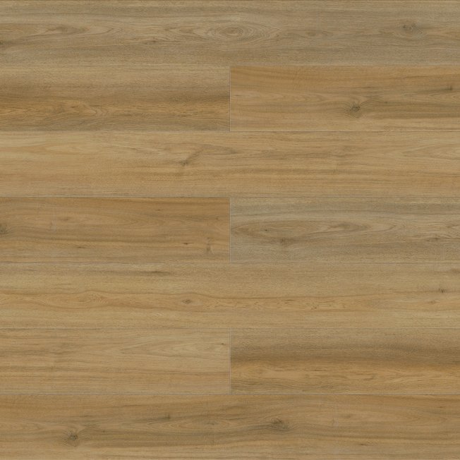 Spotted Gum