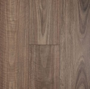 Spotted Gum