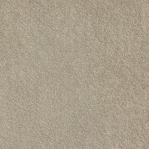 Warm Neutral