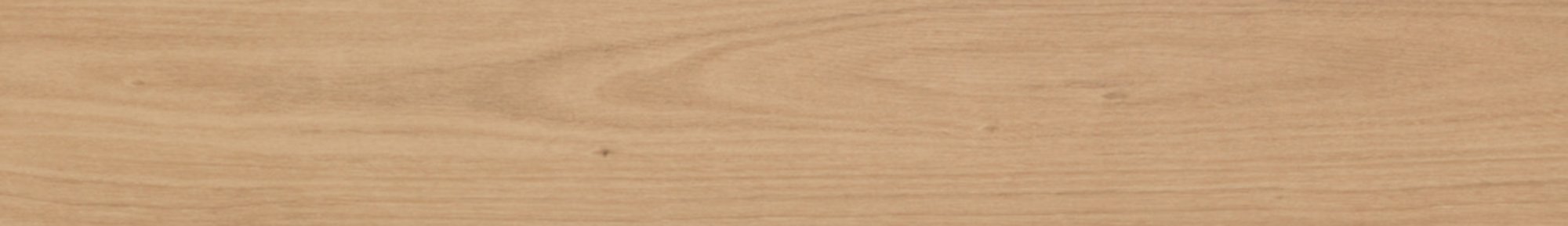Eastern Blackbutt