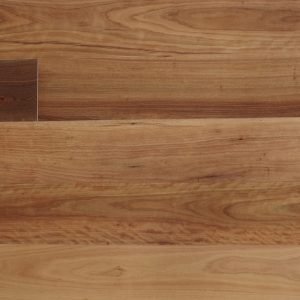 Grey Ironbark | 1 Strip