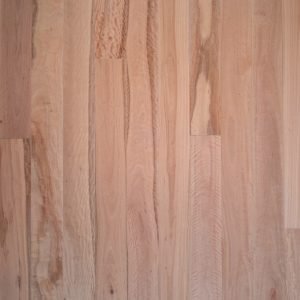 Pacific Blackbutt