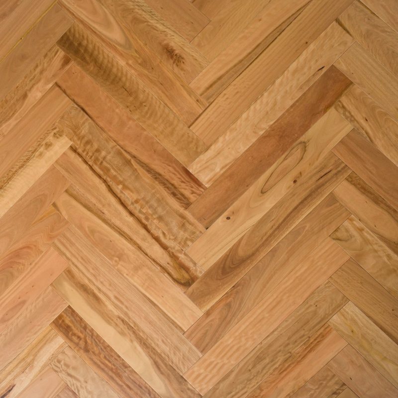 Pacific Blackbutt | Satin
