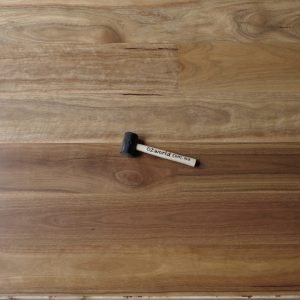 Spotted Gum