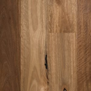 Spotted Gum Wide Matte