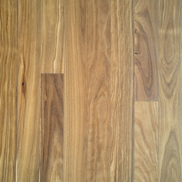 Tallowwood