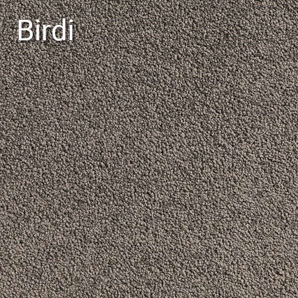 Birdi