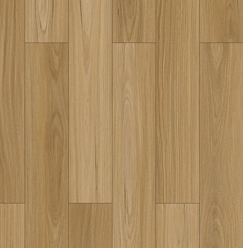Heartridge Forestbrook Blackbutt