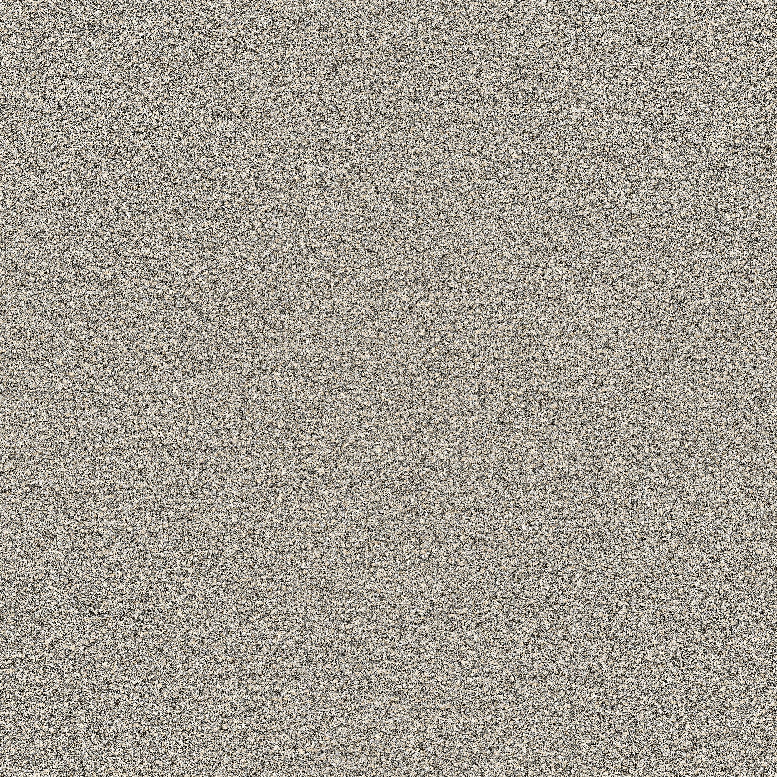 Interface Speckled Ground Whisper