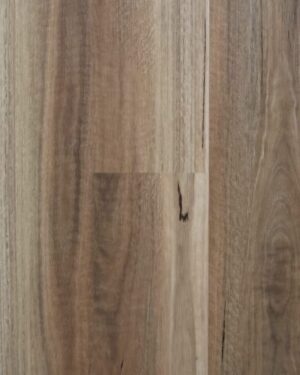 Wild Spotted Gum
